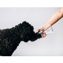 i252397 thirsty dog black bottle 0031321