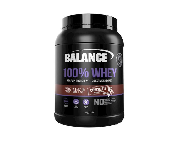 protein powder