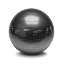 swiss ball 1