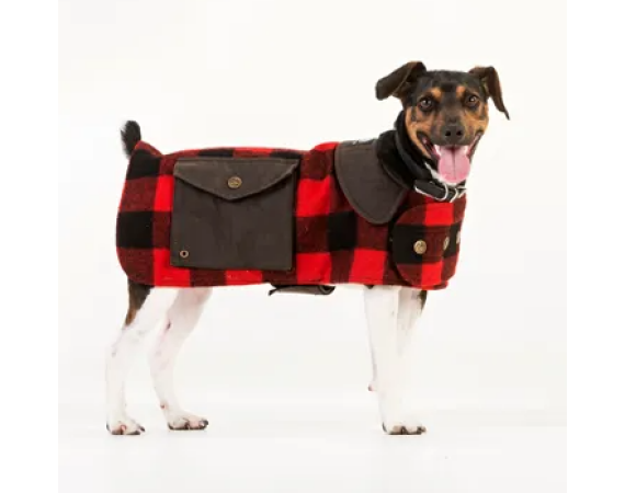 Screenshot 2025 10 30 111537 v4