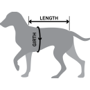 Screenshot 2025 10 30 111559 v3